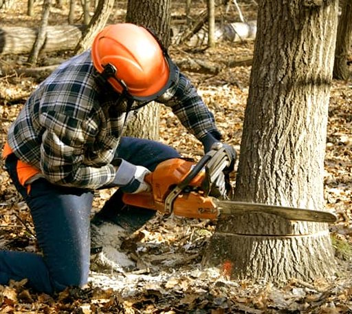 Tree Removal in Nekoma, KS